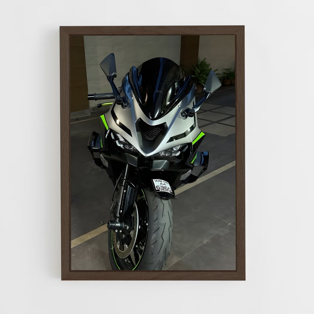 Poster du ninja énigmatique (vue 5)